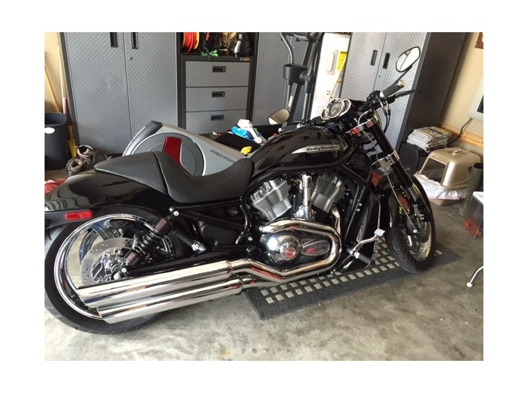 2004 Harley-Davidson V-Rod MUSCLE