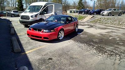 Ford : Mustang cobra 2003 ford mustang cobra 10 th anniversary svt kenne bell mammoth fikse 663 rwhp