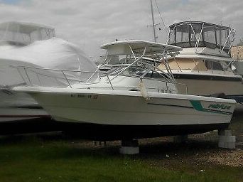 1998 24' Pro Line 241 Walk WA Boat With Mercury 200 hp Offshore Outboard Engine