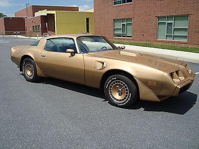 Pontiac : Firebird Trans Am 1981 pontiac firebird trans am factory 4 speed dorado gold