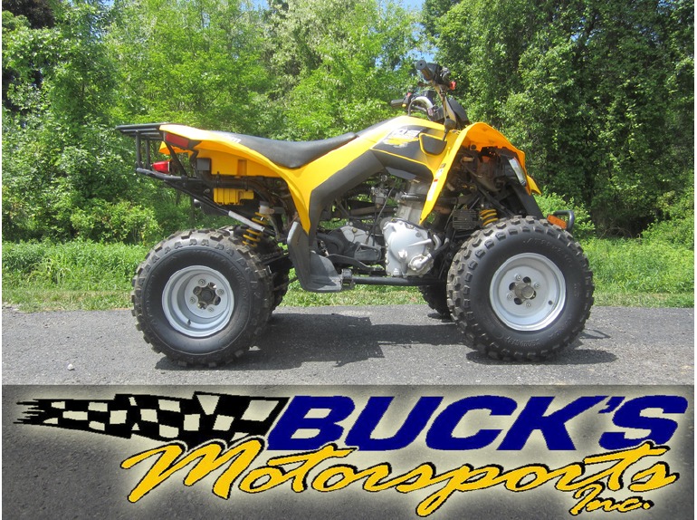 2011 Can-Am DS 250