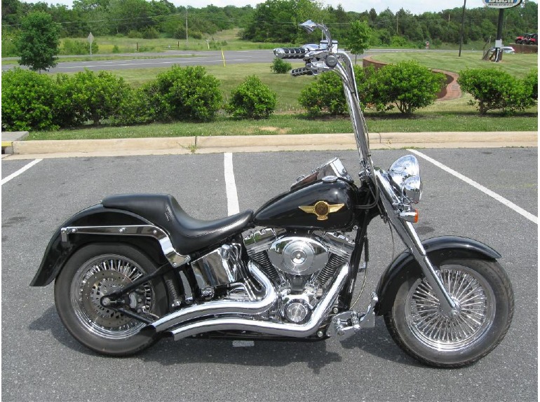 2005 Harley-Davidson FLSTFIAE Fat Boy