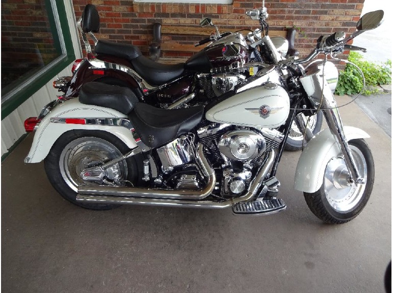 2000 Harley-Davidson FLSTF Fat Boy