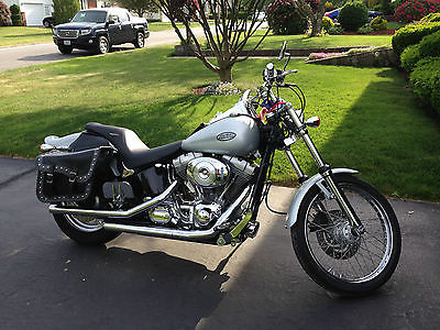 Harley-Davidson : Softail 2004 harley davidson softail standard silver and meticulously maintained