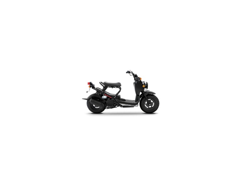 2015 Honda Ruckus