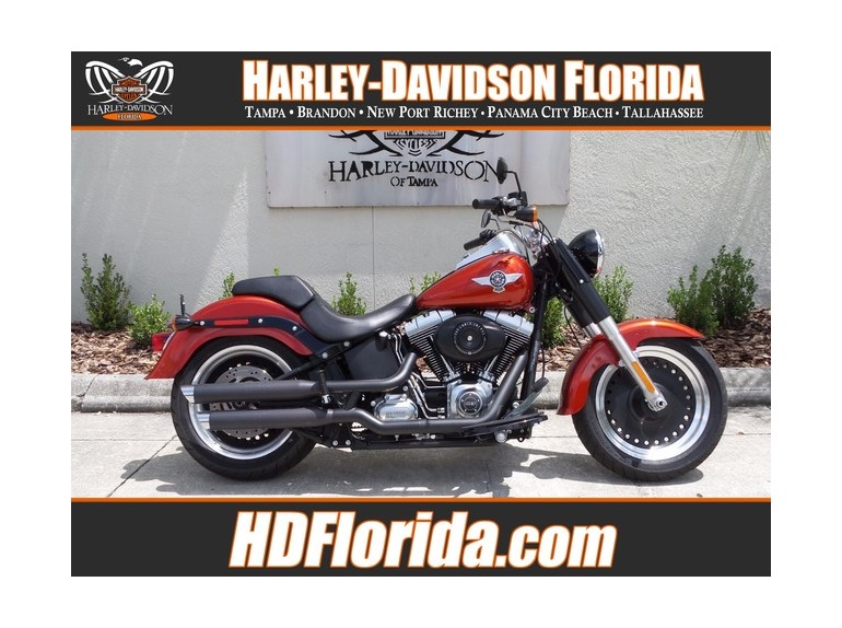 2013 Harley-Davidson FLSTSB SOFTAIL CROSS BONES