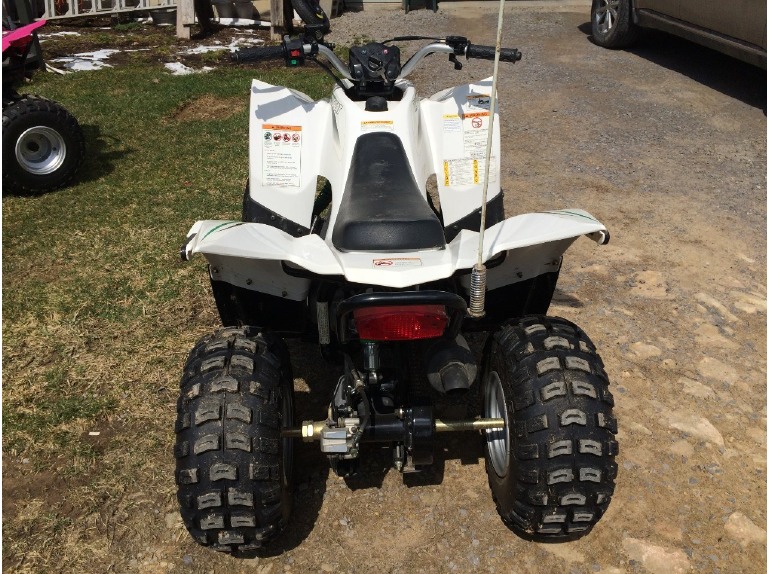 2010 Arctic Cat 90 Dvx