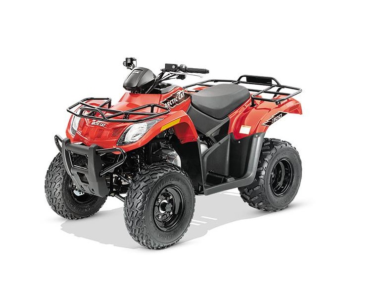 2015 Arctic Cat 300