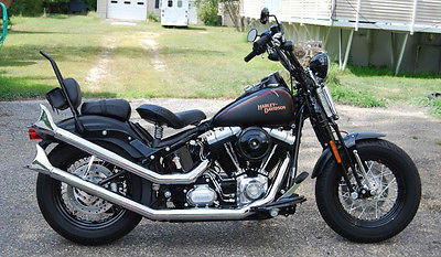 Harley-Davidson : Softail 2008 harley davidson crossbones low miles