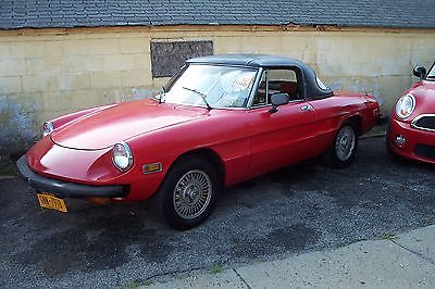 Alfa Romeo : Spider Veloce Spider with Weber Carbs on Long Island