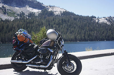 Harley-Davidson : Sportster 2013 harley davidson forty eight