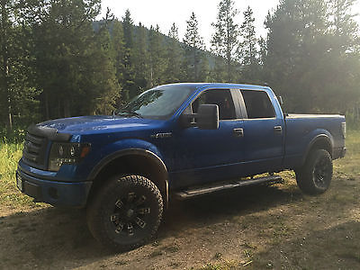 Ford : F-150 FX4 2010 ford f 150 fx 4 4 x 4 lifted with metal militia wheels