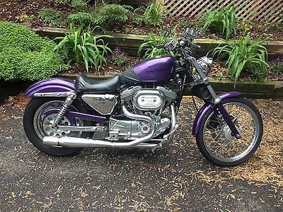 Harley-Davidson : Sportster Custom Sportster Show Bike- 2000 Harley Davidson Sportster (Wide Glide forks)
