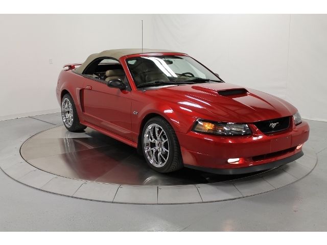 Ford : Mustang 2dr Converti CONVERTIBLE | VERY LOW MILES | CLEAN CARFAX | SHELBY WHEELS