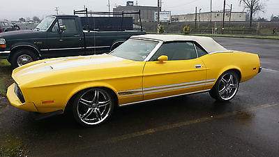 Ford : Mustang Base Convertible 2-Door 1973 ford mustang base convertible 2 door 5.8 l