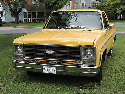 Chevrolet : Other Pickups C-10 Short Bed 1979 chevy c 10 custom deluxe