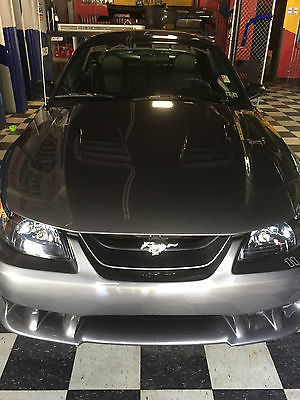 Ford : Mustang Base Coupe 2-Door 2003 ford mustang s 281 extreme 11