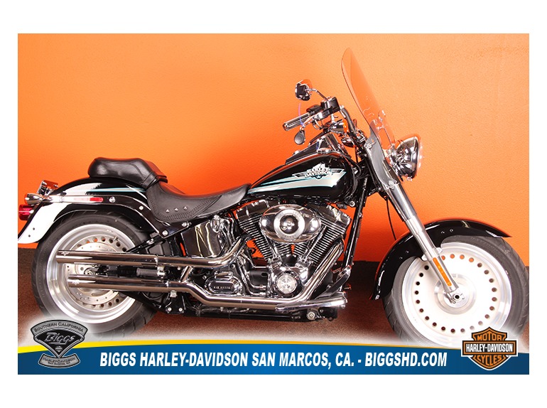 2010 Harley-Davidson Flstf103