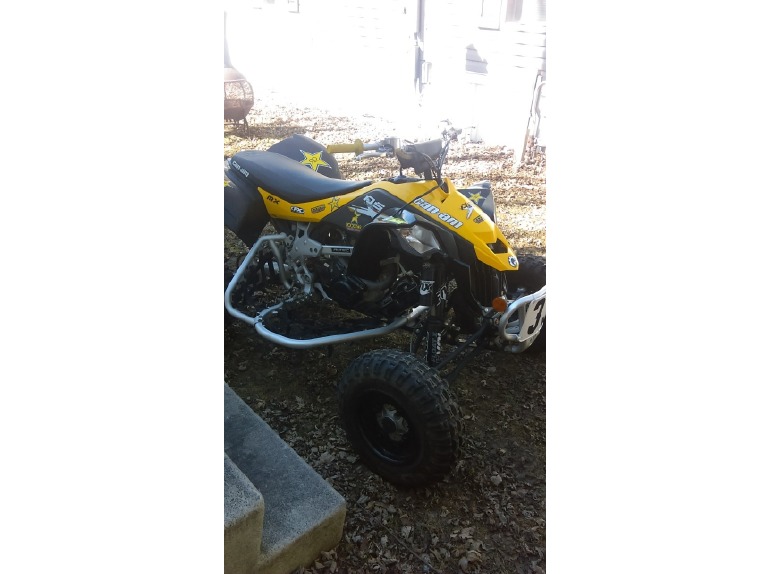 2014 Can-Am Ds 450