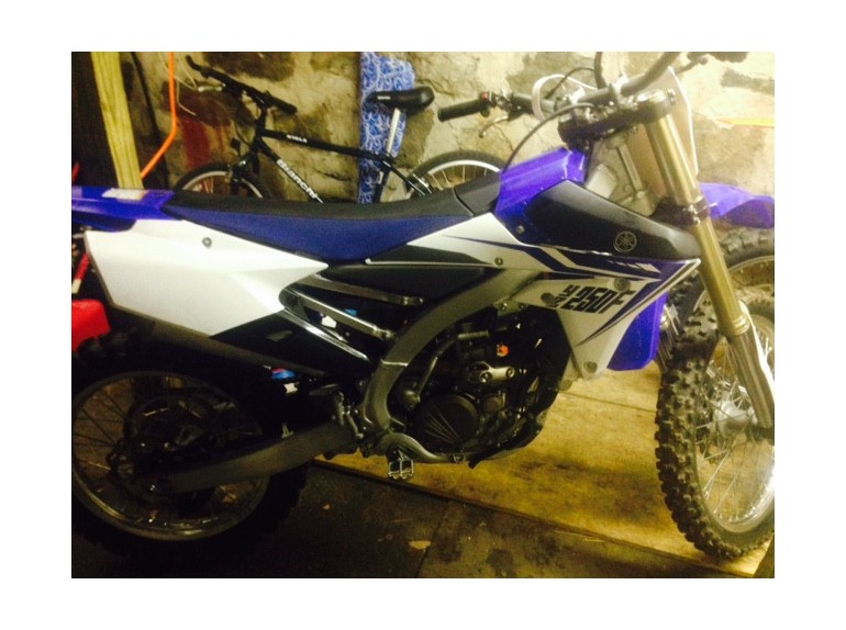 2014 Yamaha 250