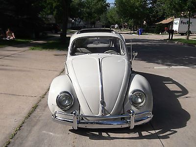 Volkswagen : Beetle - Classic 2-door sedan with sunroof 1964 volkswagon beetle bug classic full restoration 2005 w sunroof