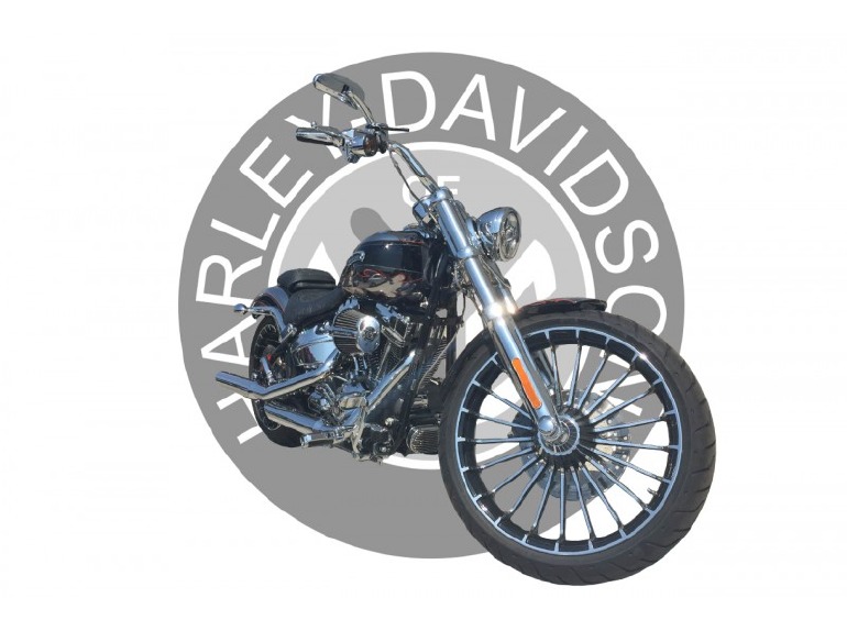 2014 Harley-Davidson BREAKOUT FXSB