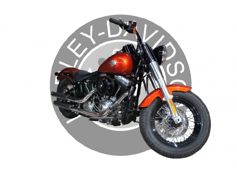 2014 Harley-Davidson FLS SOFTAIL SLIM