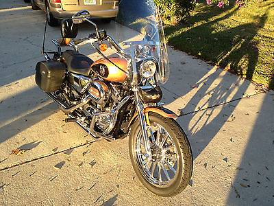 Harley-Davidson : Sportster 2008 harley davidson sportster low anniversary edition