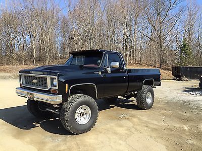 Chevrolet : Other Pickups base 1973 chevy 3500