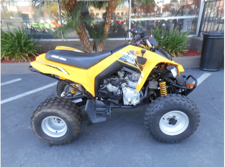 2009 Can-Am DS 250