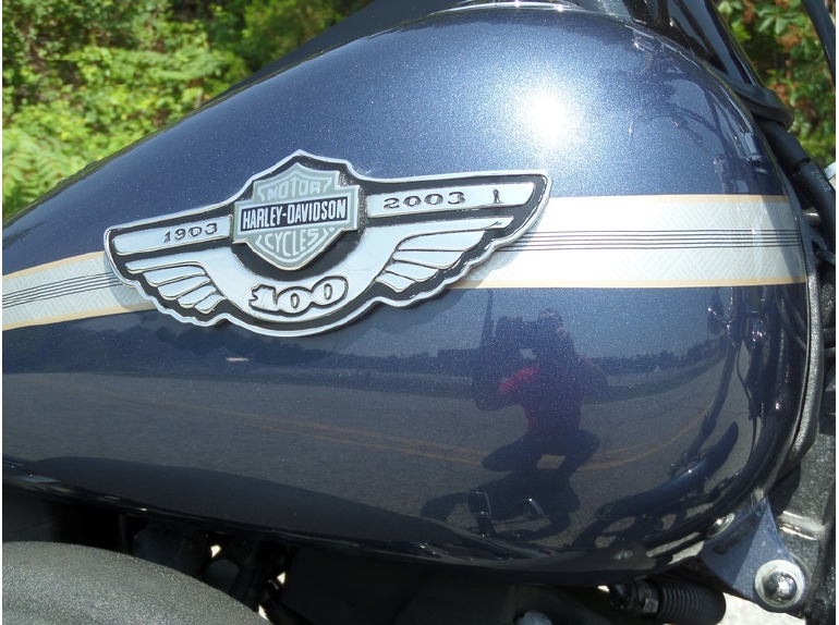 2003 Harley-Davidson NIGHT TRAIN®