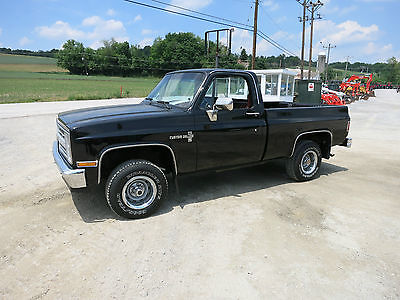 Chevrolet : C-10 Custom Deluxe 2 Door 1986 chevrolet c 10 custom deluxe 4 x 4 pick up truck v 8 24196 miles very nice