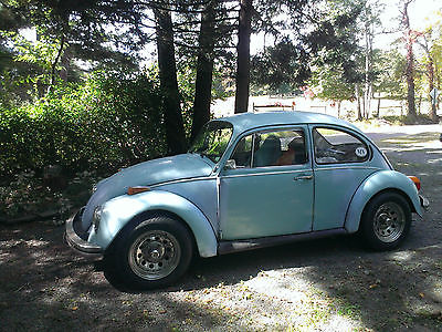 Volkswagen : Beetle - Classic VW Beetle, Robin Egg Blue
