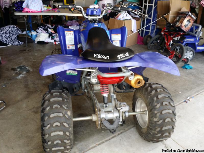 2006 BMS 250cc atv