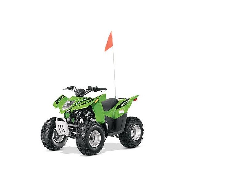 2015 Arctic Cat DVX 90