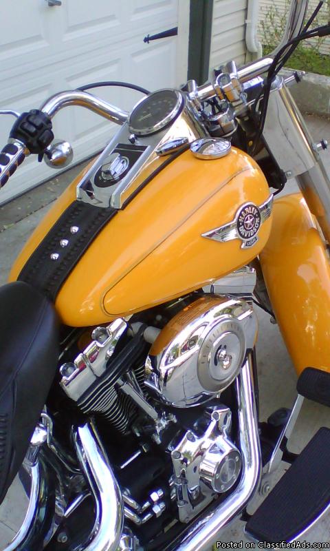 2011 Harley Davidson Fat Boy