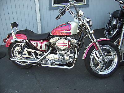 Harley-Davidson : Sportster 1994 harley custom 883 over 20 000 invested