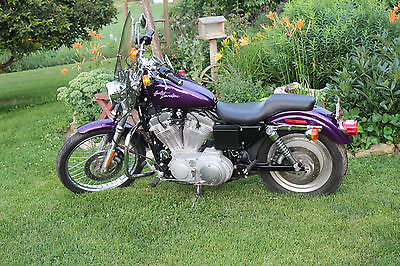Harley-Davidson : Sportster 2002 sportster 883 low mileage great ladies starter bike