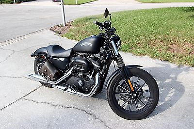 Harley-Davidson : Sportster 2014 harley davidson sportster iron 883 black like new excellent low mileage