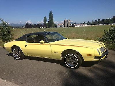 Pontiac : Firebird esprit 1974 pontiac firerbird esprit