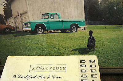 Dodge : Other Pickups D100 1964 dodge d 100 pick up truck pickup restoration started really nice project