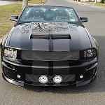 Ford : Mustang GT 2006 ford mustang gt modified