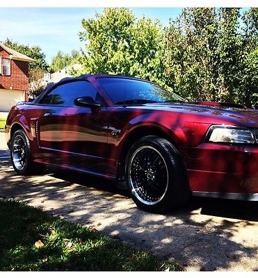 Ford : Mustang GT Convertible 2-Door 2000 mustang gt convertible