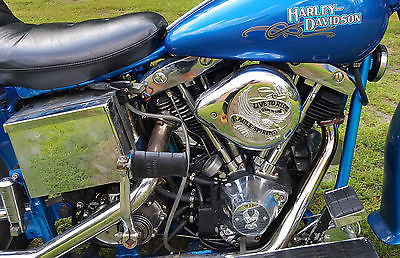 Harley-Davidson : Touring 1970 electra glide harley davidson blue