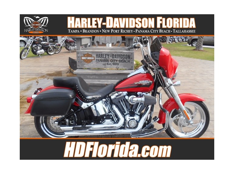 2010 Harley-Davidson FLSTF SOFTAIL FAT BOY