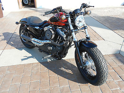 Harley-Davidson : Sportster Harley Sportster 48 - 1200cc engine with expensive upgrades - Better than new!