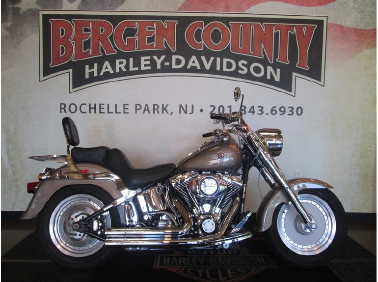 2004 Harley-Davidson FLSTF