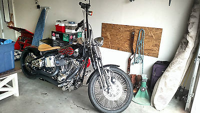 Custom Built Motorcycles : Other 2006 thunder mountain custom sterling edition softail