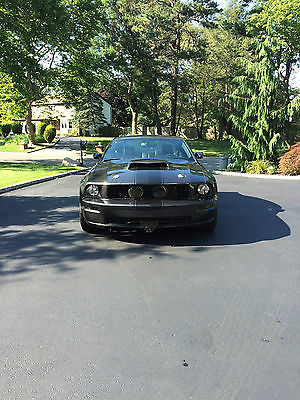 Ford : Mustang GT Deluxe 2008 gt deluxe