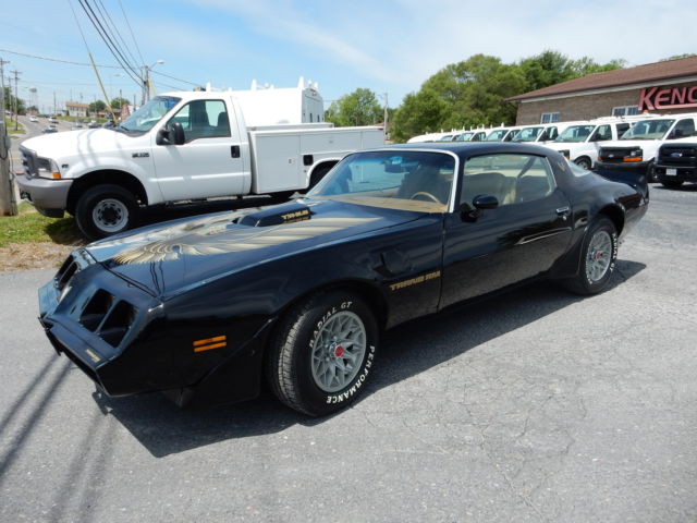 Pontiac : Trans Am TRANS AM 1979 pontiac trans am bandit style 6.6 litre no rust issues black beauty